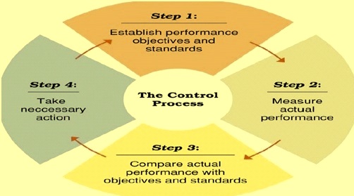 the-organizational-control-process