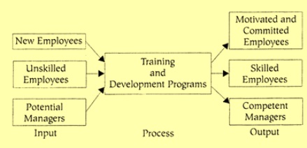 Mosaic training & development