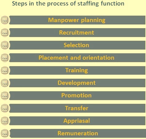 Staffing A Function Of Management Ispatguru