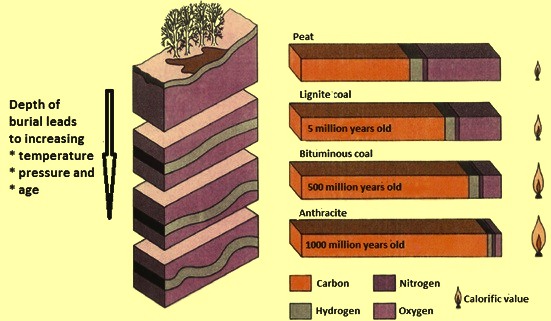 A Deep-Dive into Anthracite Coal, by Coal Hut