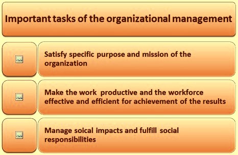 Importance Of The Organizational Management – Ispatguru