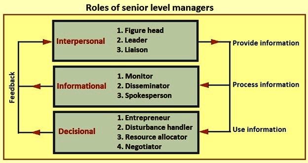 Senior Level Managers And Their Role In The Organization IspatGuru